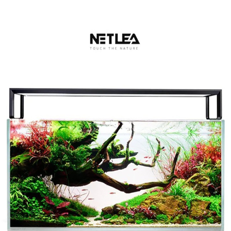 Wifi Led Dimmer - Netlea AT5S V4 Smart Wifi APP-gestuurde
