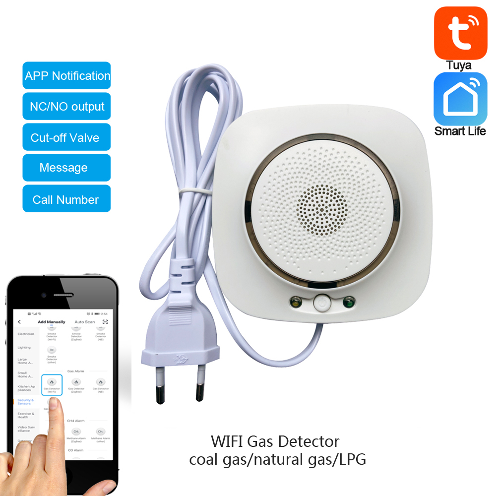 90-220Vac EU Plug WIFI Aardgas - Tuya Wifi Socket recensie en prijs