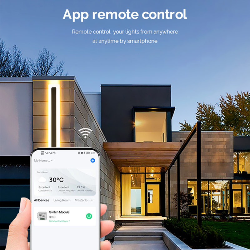 DIY Wifi Smart Dimmer Switch M - Tuya Wifi Socket recensie en prijs