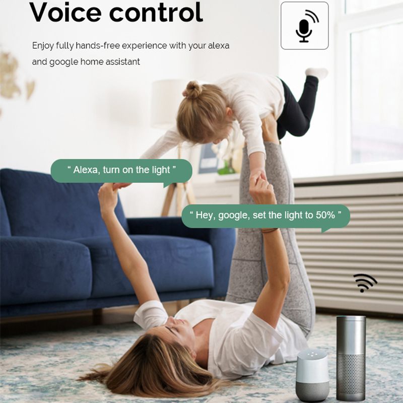 DIY Wifi Smart Dimmer Switch M - Tuya Wifi Socket recensie en prijs