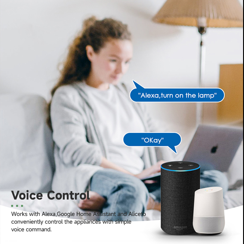 Tuya Smart WiFi-schakelmodule  - Tuya Wifi Socket recensie en prijs