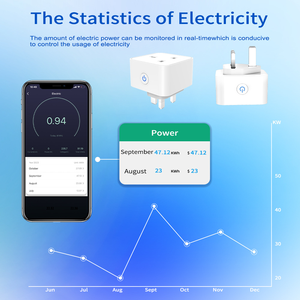 Tuya Smart Socket 16A/20A WiFi - Tuya Wifi Socket recensie en prijs
