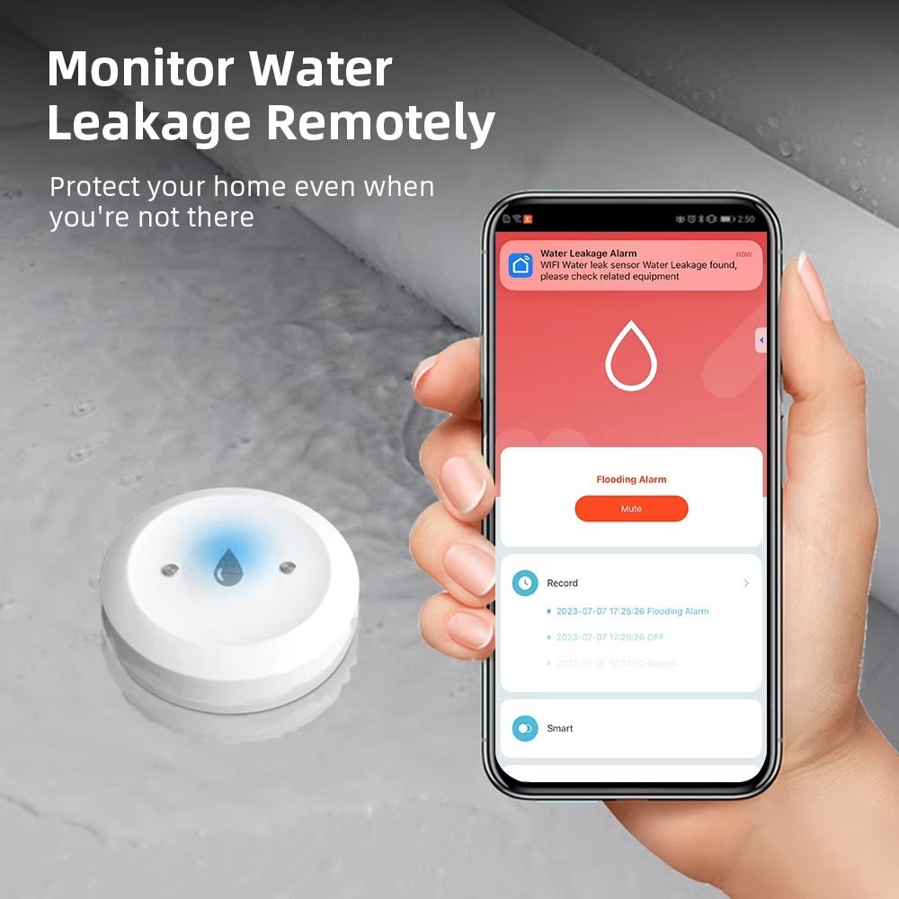 Alarmfunctie ZigBee Watersenso - Smart Home Zigbee 3.0 recensie en prijs