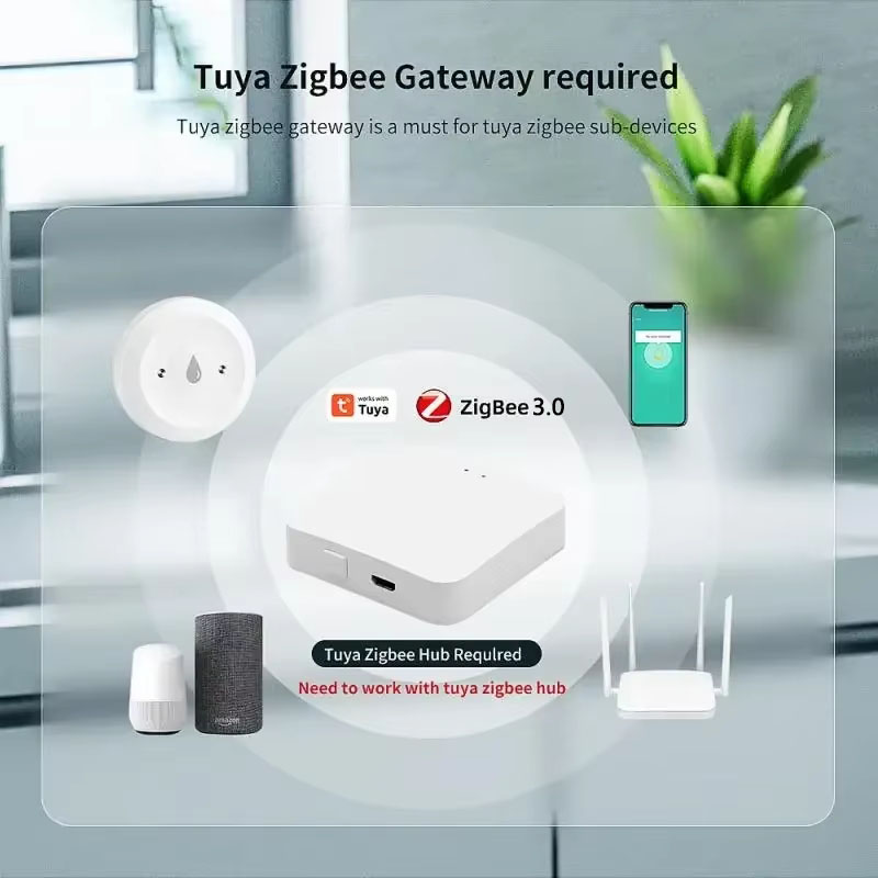 Voor Tuya ZigBee 3.0 Smart Wat - Smart Home Zigbee 3.0 recensie en prijs
