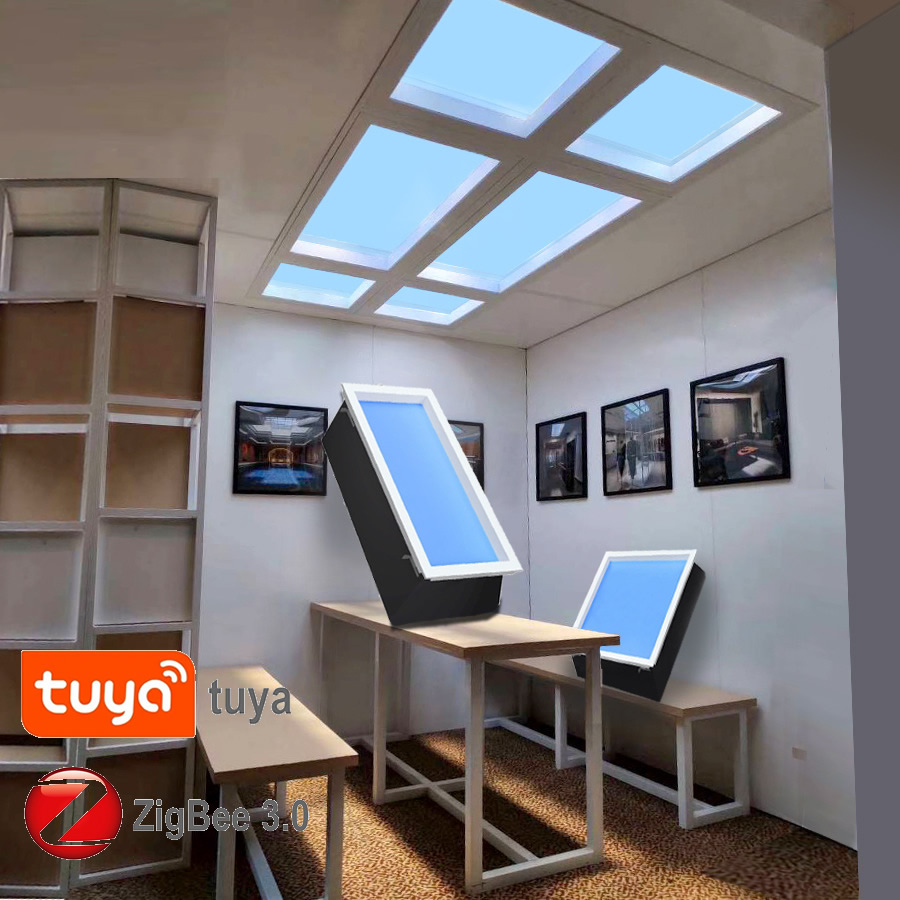 Zigbee Tuya Led Downlight Dakr - Smart Home Simulation recensie en prijs
