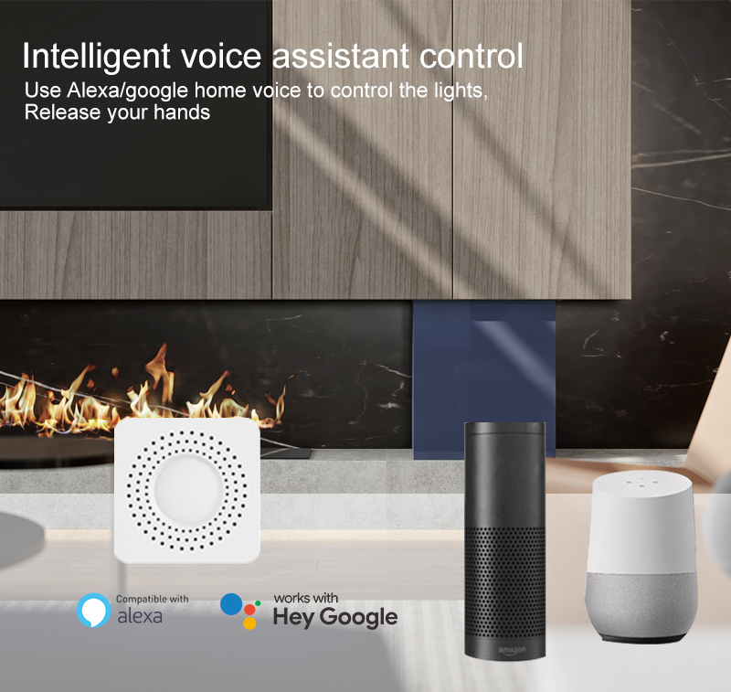 Tuya Mini Smart Switch WiFi 1- - Tuya Wifi Socket recensie en prijs