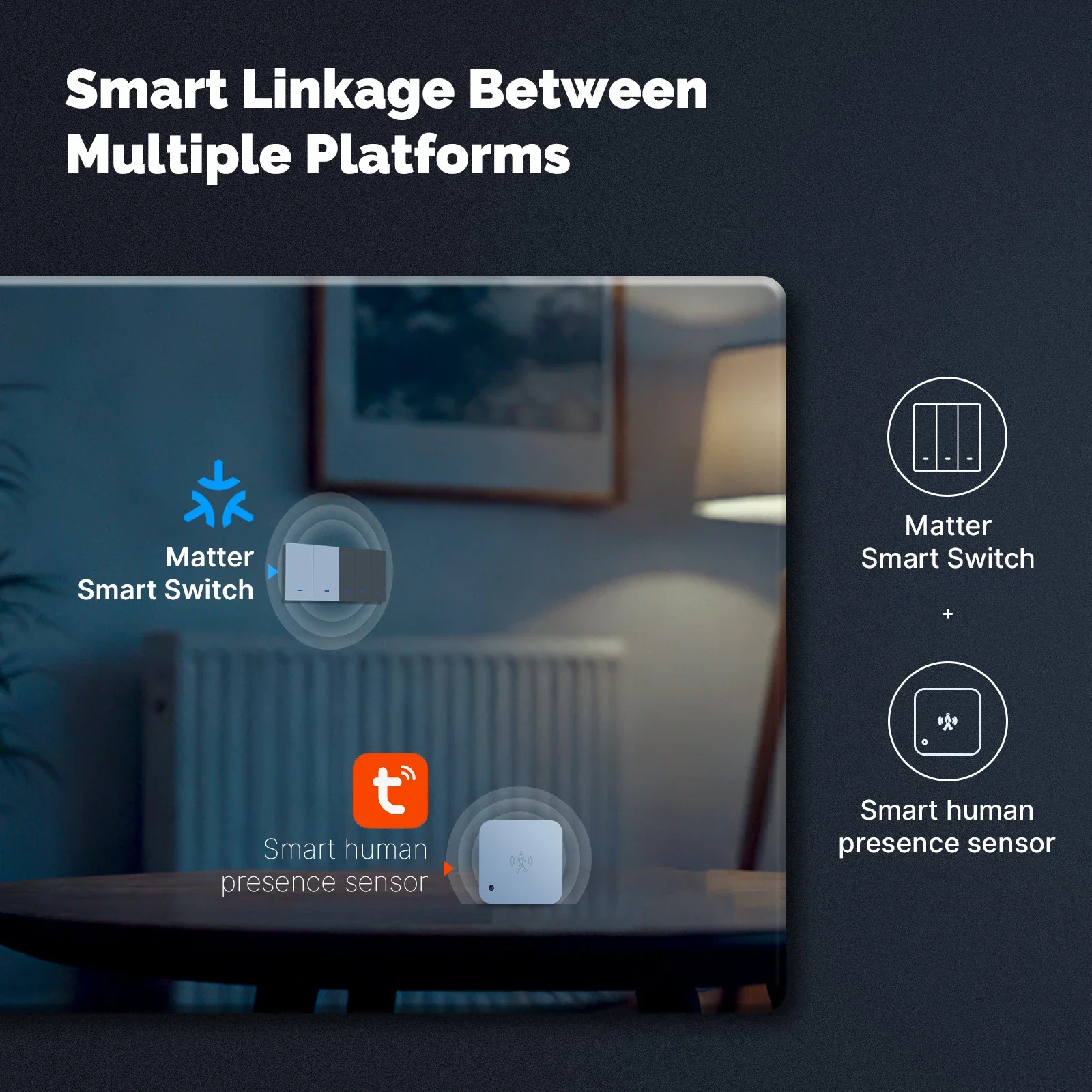 MOES Matter Tuya WiFi Smart Li - Tuya Wifi Socket recensie en prijs