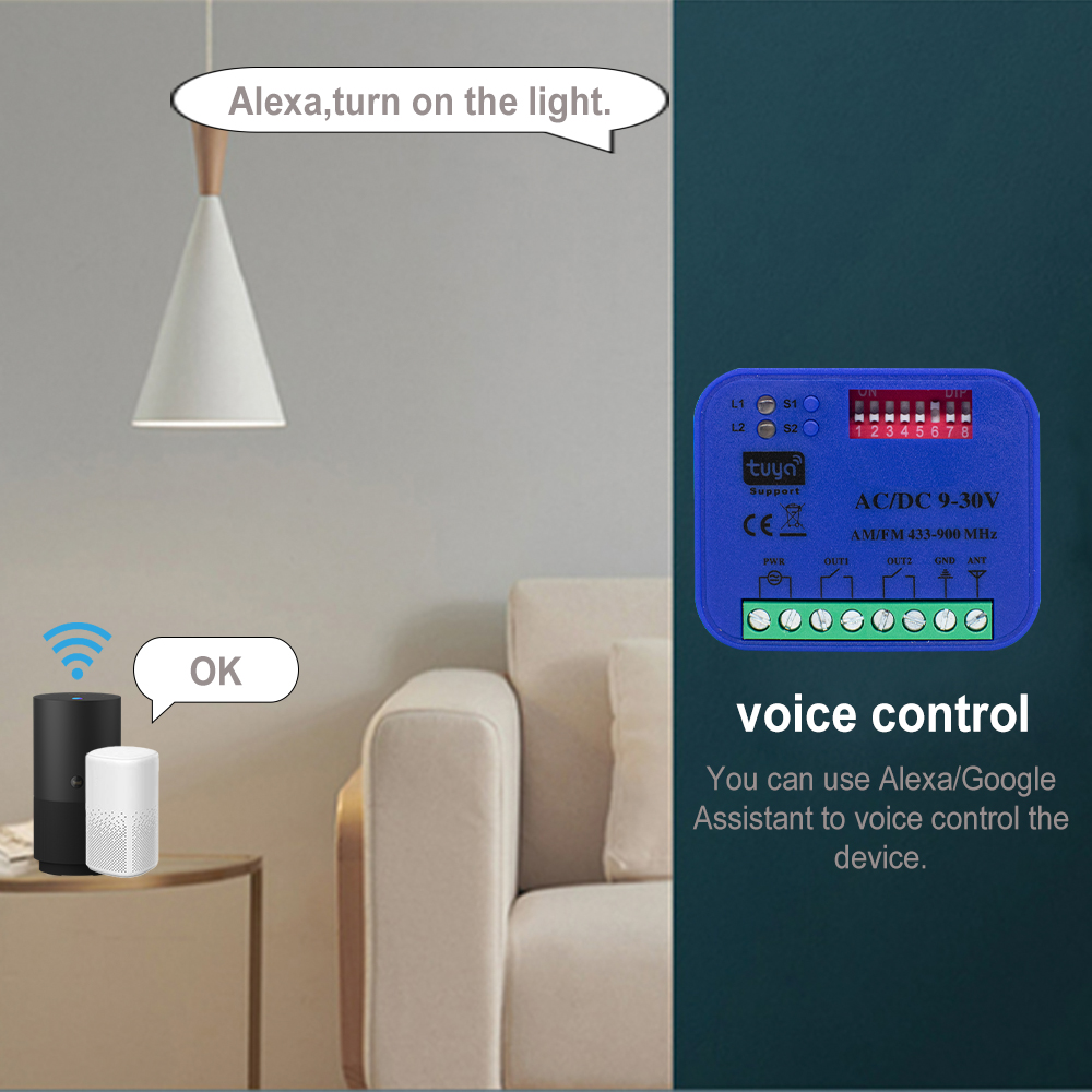 2CH 433-868MHz WiFi Garagedeur - Smart Garage Door Opener recensie en prijs