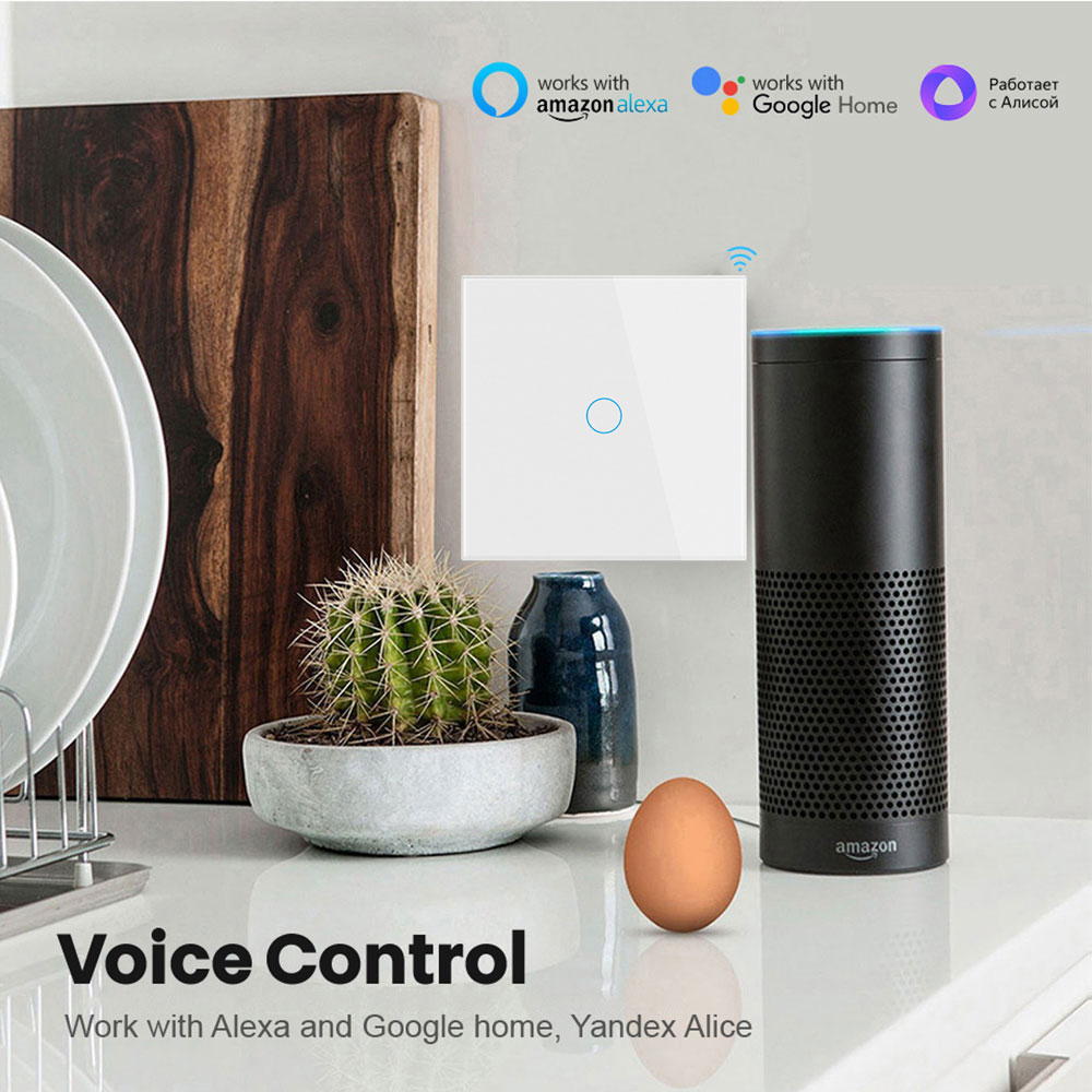 Tuya EU WiFi + RF433 Slimme af - Tuya Wifi Socket recensie en prijs